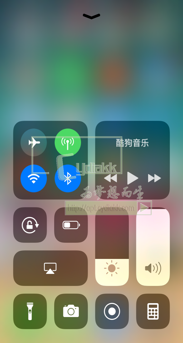 预览图片