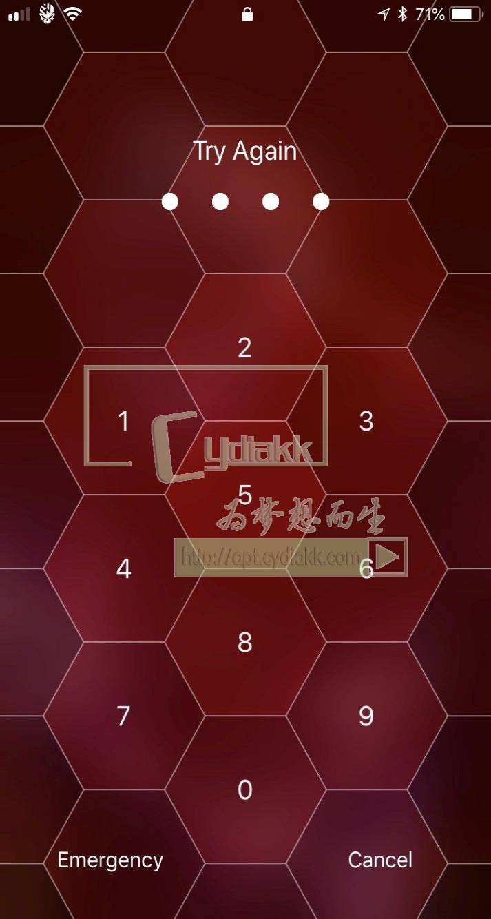 预览图片