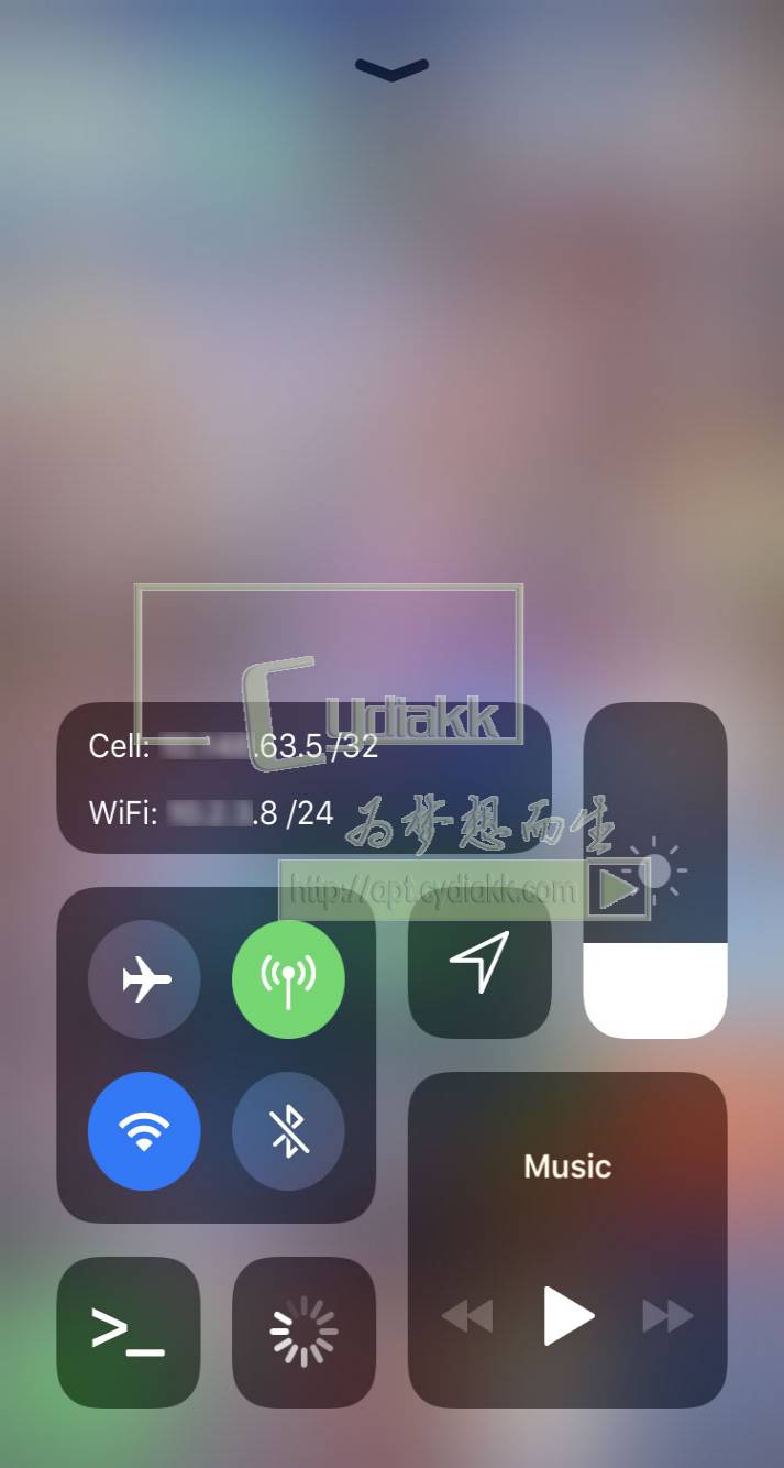 预览图片