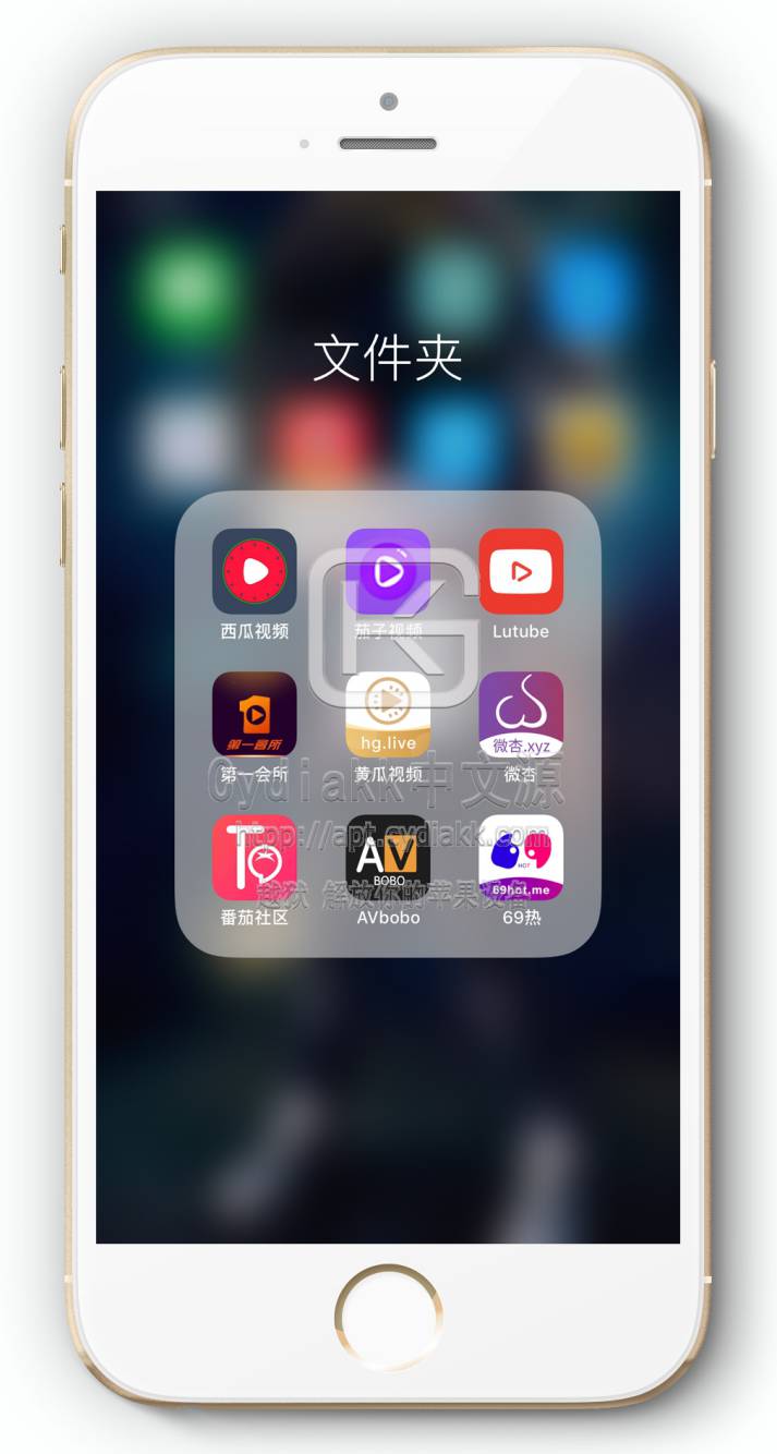 预览图片