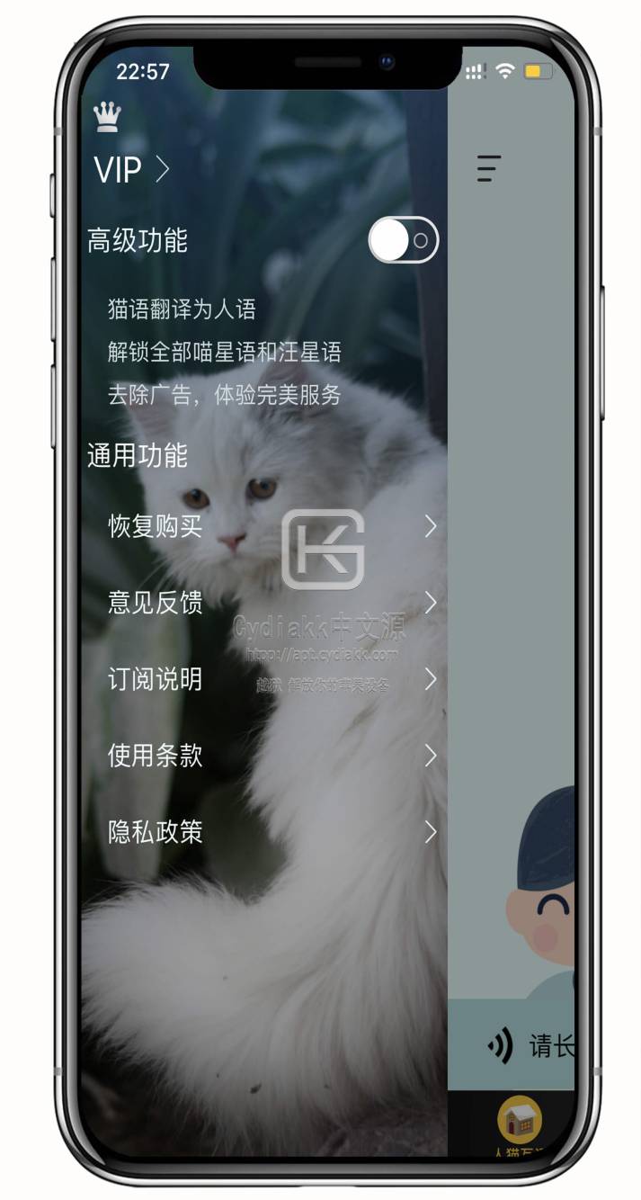 预览图片