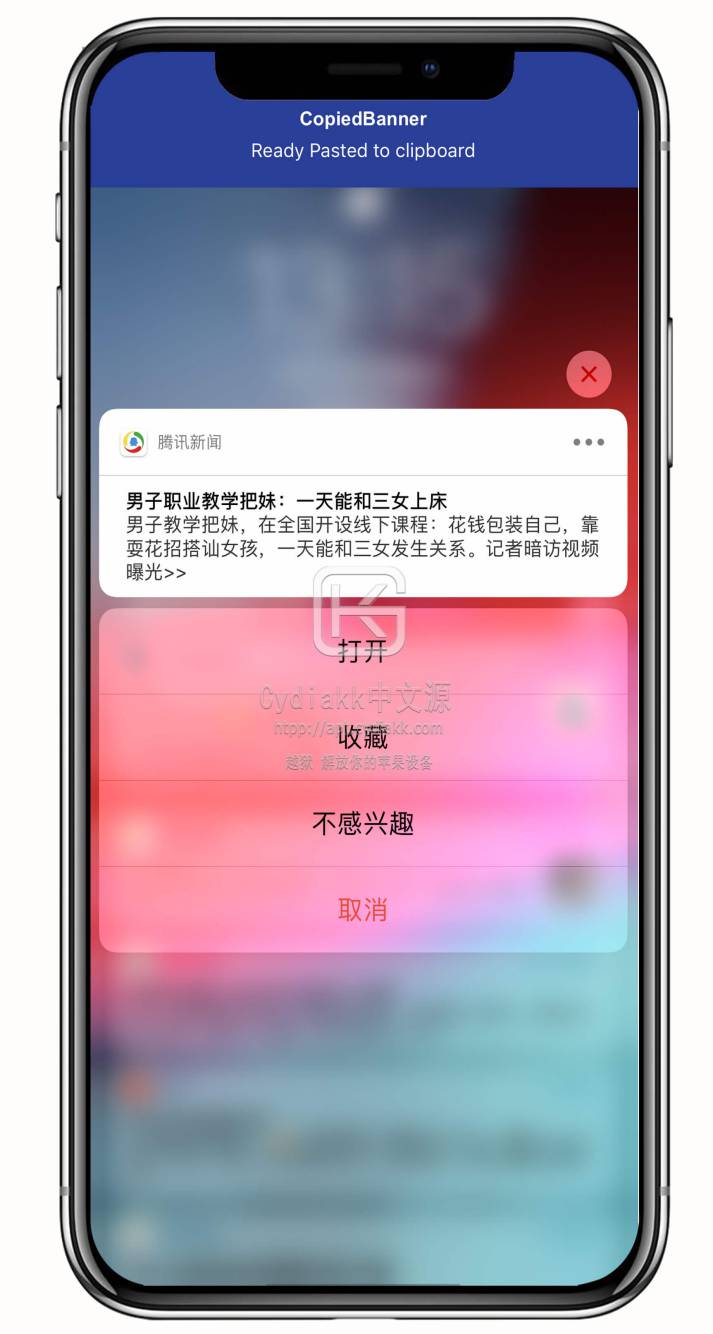 预览图片