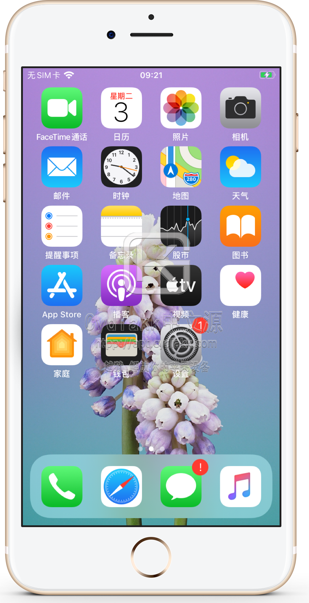 预览图片